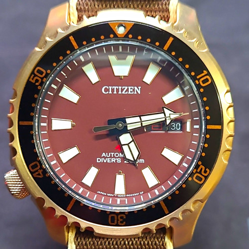 Citizen Promaster Diver Automatic 42mm NY0083-14X