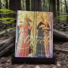 Glory of Angels by Edward Lucie-Smith (2009, Hardcover)