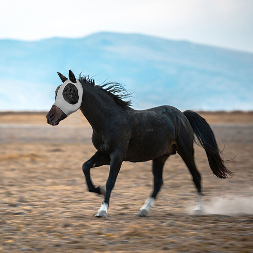 Horse Wear Masters Fly Mask Stretch Bug Eye Saver with Ears Lycra Hood