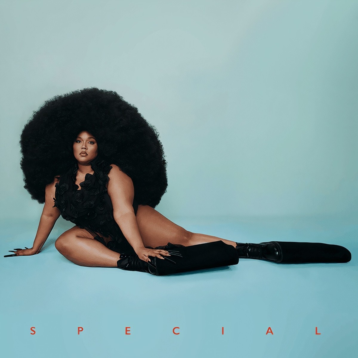 ALTERNATE COVER---- LIZZO Special EXCLUSIVE CD About Damn