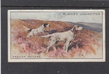 1925 Players Dogs Scenic Background English Setter #29