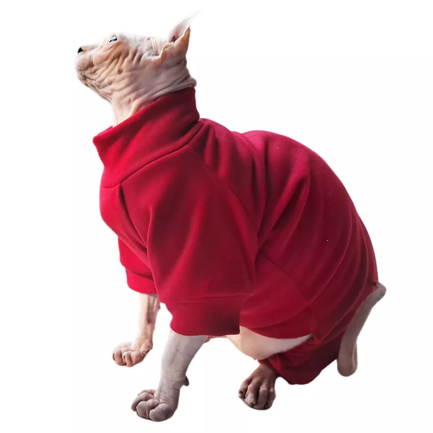 Designer Cat Sweater | LV Sweater for Sphynx, Designer Sweater