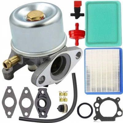 BRIGGS & STRATTON VERgaser 625 650 675 799866 796707 794304 SATZ MIT DICHTUNG