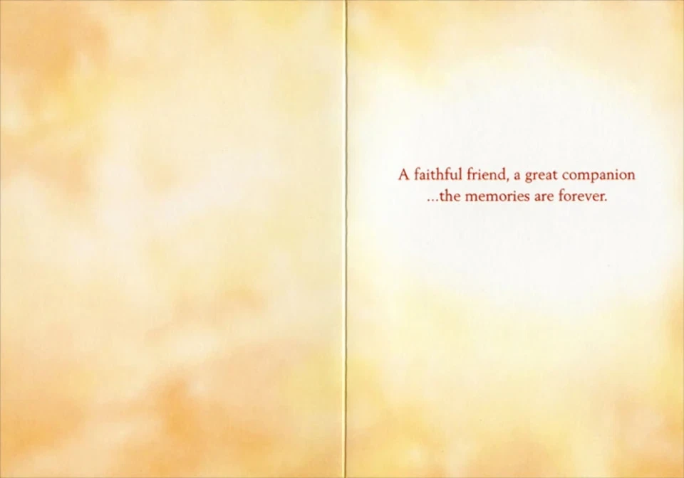 Sympathy Greeting Card - Dog Sitting on Beach at Sunset - Image 2 of 2