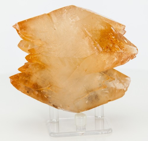 Honigcalcit Dogtooth Kristalle Cluster 1,05 Pfund Ulmwood Mine Karthago TN H0028