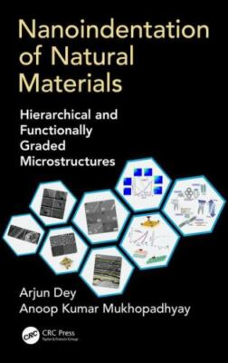 Nanoindentation of Natural Materials : Hierarchical and Functionally Graded M...