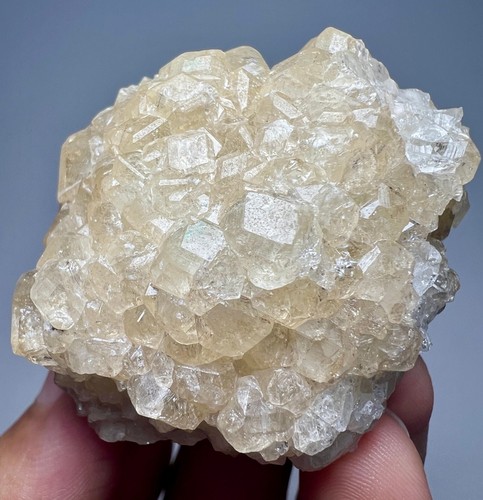 109 GM Ultra Rare New Found White Garnet Crystals Bunch On Matrix @ArangBarang - Picture 5 of 17