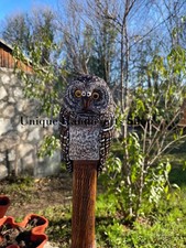 Hand carved owl bird design wooden walking stick for men women walking cane J8