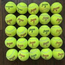 Penn Dunlap Assorted Lot of 25 Used Tennis Balls Practice Dog Toys Arts Crafts