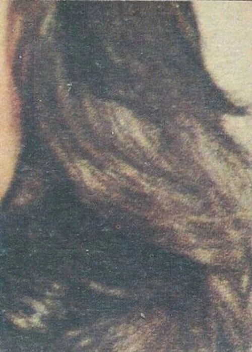 CHARLIE'S ANGELS TV SHOW SERIES 4 TRADING CARDS SET 1977 TOPPS USA BASE CARD 224 - Image 2 of 2