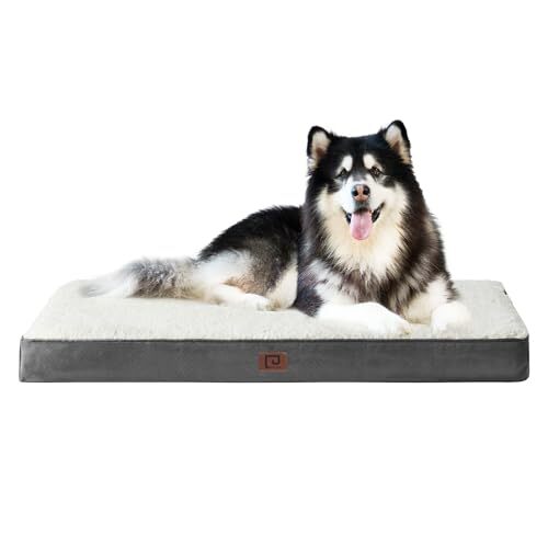 XXL Orthopedic Dog Bed for Jumbo Dogs with Removable Washable Cover 47x29 