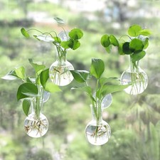 4 pcs Window Propagation Stations, Easy to Install Plant 4 PCS Clear