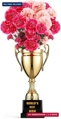 World's Best Mom Trophy Vase with 2 Artificial Carnation Flowers Bouquet, Mom Gi