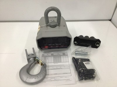 RICE LAKE WEIGHING SYSTEMS Crane Scale: MSI-3460-5000,  5,000 lb Capacity,