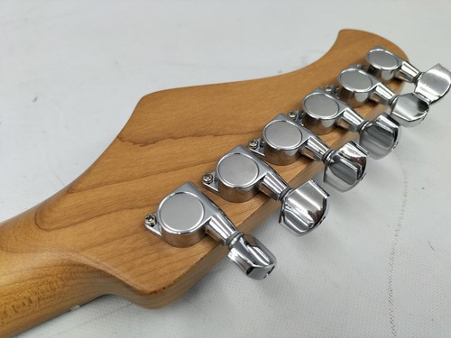 BACCHUS BST-2RSM/M LPB Used Hardwood body Maple neck Maple fingerboard w/Gigcase - Picture 3 of 11