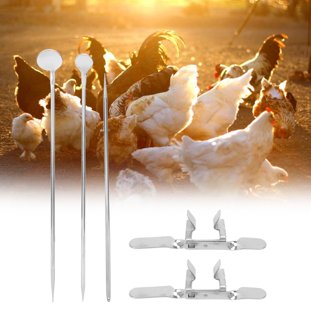 10pcs Stainless Steel Farm Livestock Breeding Chicken Hen Rooster Capon Tool