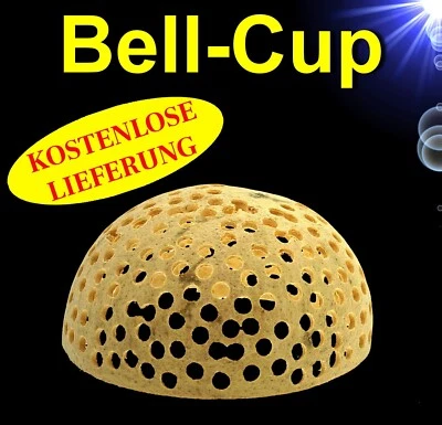 Aquarium Deko 🐠 GARNELEN BELL CUP HÖHLE 🐠 Vögel Terrarium Nager - Bild 1 von 2