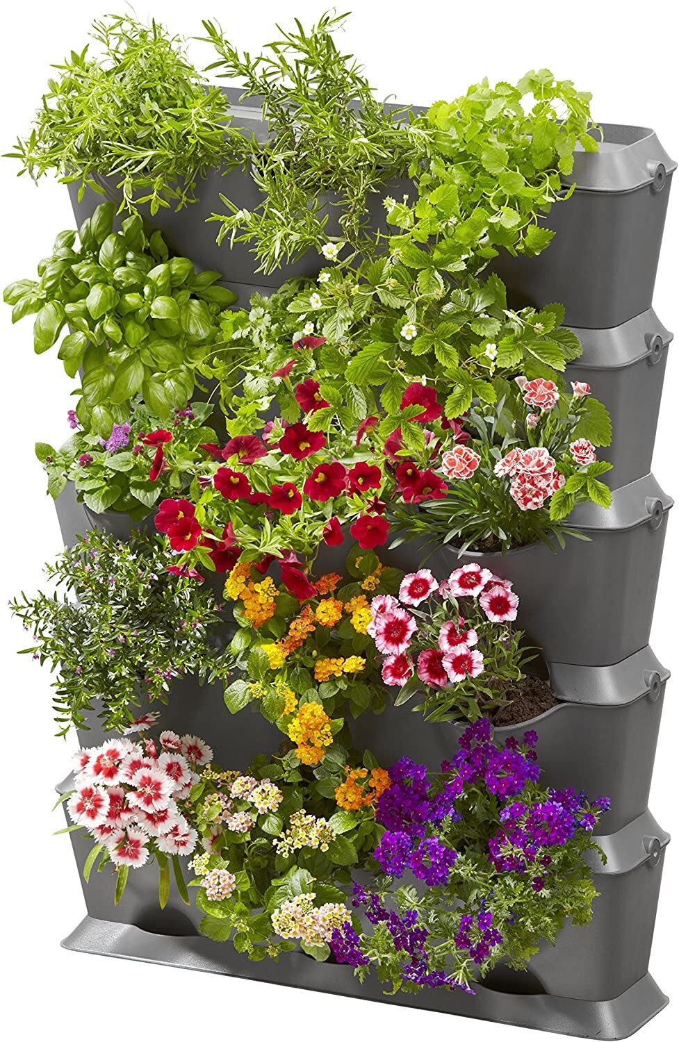 Mur végétal GARDENA NatureUp! 15 plantes avec arrosage goutte-à-goutte intégré anti-gaspillage
