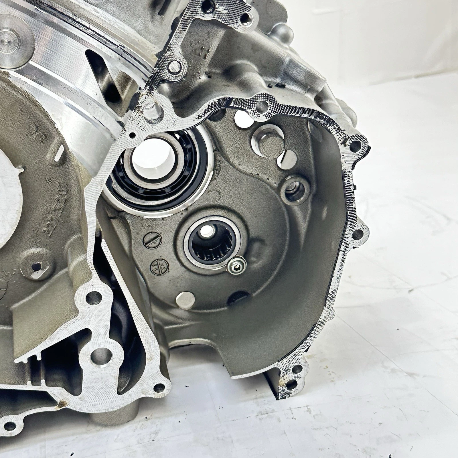 2016 - 2019 DUCATI PANIGALE 959 CRANKCASE ENGINE MOTOR BLOCK CASE BOLTS HARDWARE