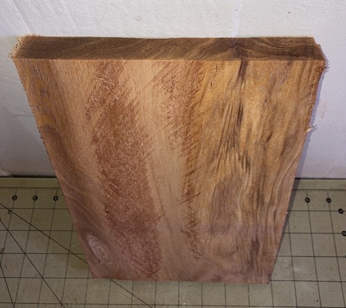 One Hawaiian Leopard Tree/Brazilian Ironwood Arboretum 12" x 7 1/2" x 1" (#256) - Picture 3 of 7