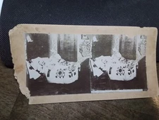 VINTAGE PICTURE SLIDE 3 1/2 X 7 INCHES STEREOSCOPIC STEREOVIEW STEREOSCOPE