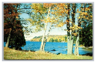 Muskoka Ontario Canada Autumn Fall at Lake of Bays Chrome Postcard