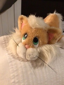 Knickerbocker Cat | eBay