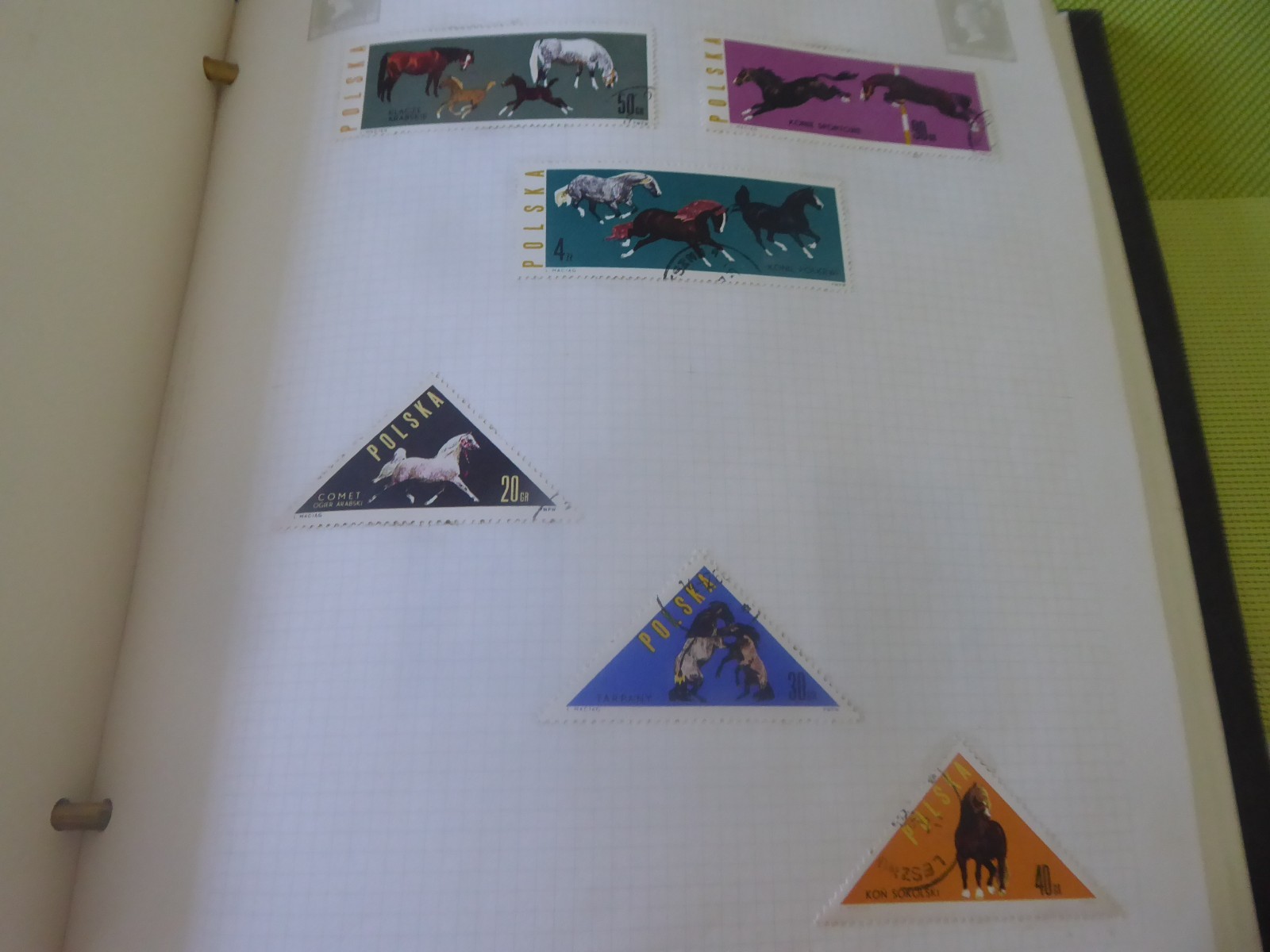 Picture 23 of 24