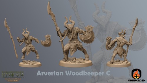 Arverian Woodkeepers | 32mm | Artisan Guild | Table Top Gaming | D&D | RPG | 3 - Picture 4 of 16
