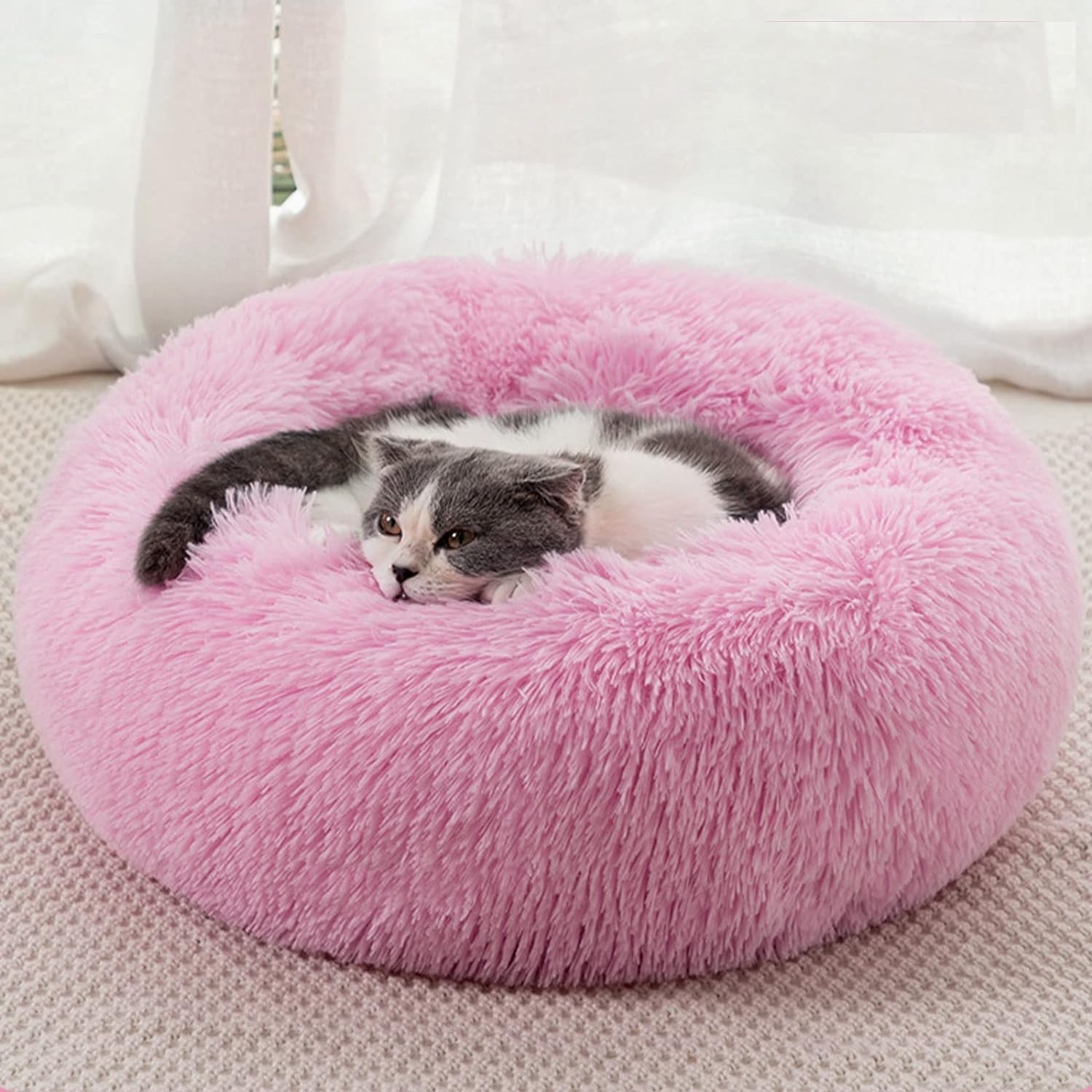 Cuccia per Gatto e Cani, da Interno Morbida e Confortevole, Antiscivolo, lavabil