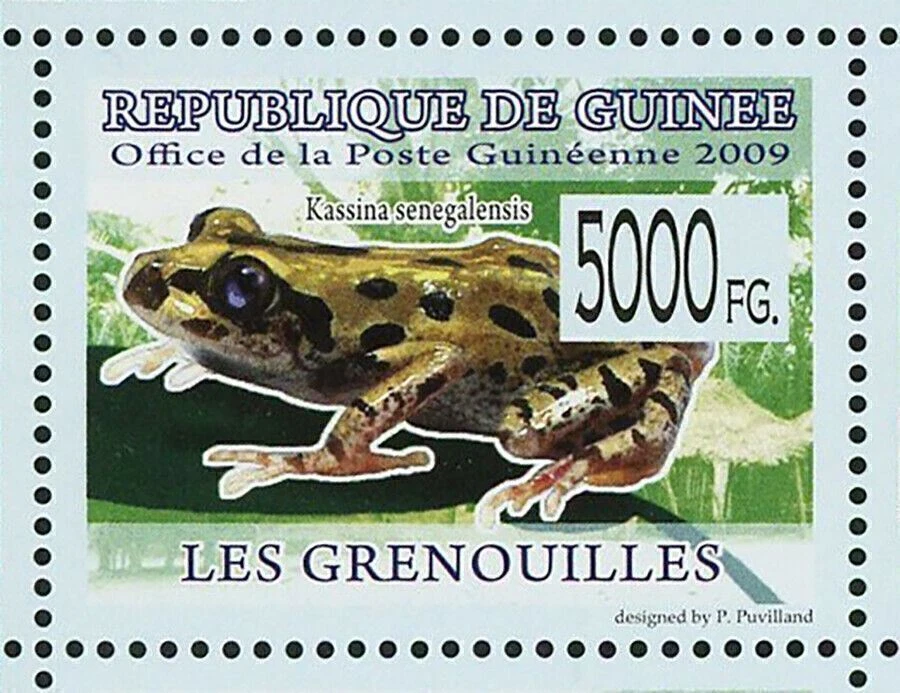 Sello de ranas Kassina Senegalensis Trichobatrachus Robustus Phrynomantis S/S MNH Foto 3 de 4