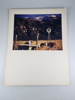 Art Photography Chicago Sharing Nature Edison Camera Club 1963 Farm Rural Vtg