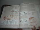 Bild 6 von 8