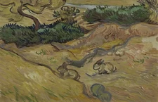 "Vincent van Gogh – Landscape with Rabbits "     Canvas Wall Art Picture Print