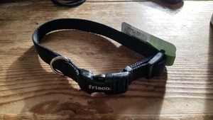frisco dog collar