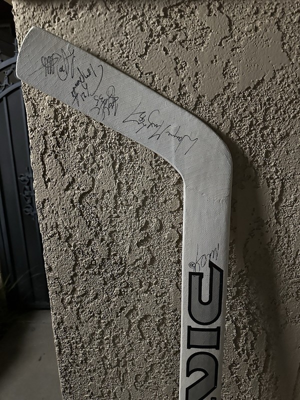 VIC Pro White Wood Ice Hockey Stick Signed Goalkeeper, Wayne Gretzk, luk Robatit