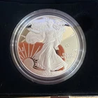 New 2025 Laser Engraved American Eagle One Ounce Silver Proof Coin - 25EALE