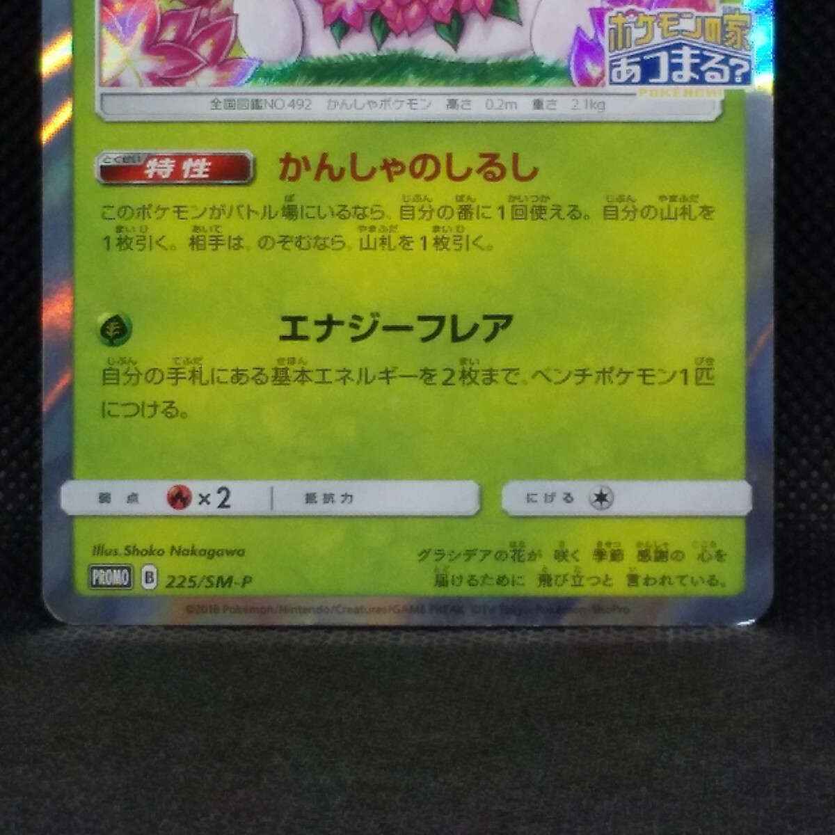 Shaymin Pokemon Card Promo Holo NM No.225/SM-P From Nintendo