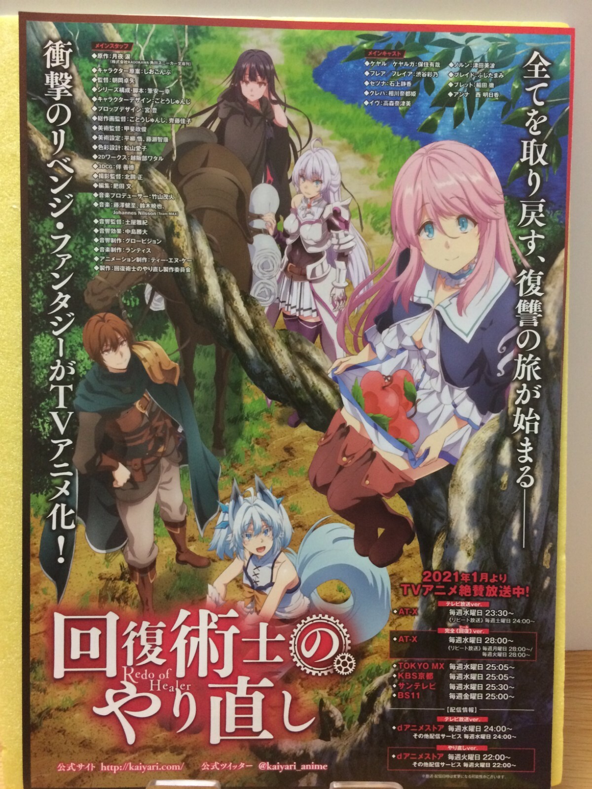 Redo Of Healer Loghorizon Illustration Anime Manga Chirashi Flyer Poster Japan Ebay