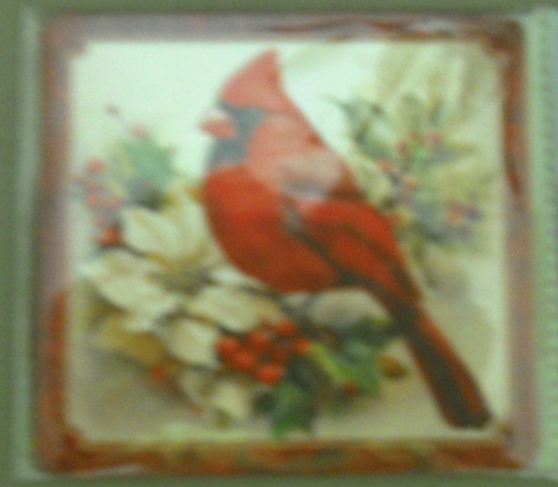 NEW ~ SET of  4 COASTERS ~ size 4" x 4" ~Red Cardinal.