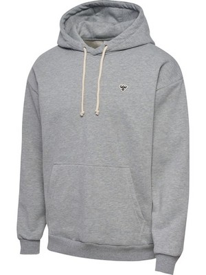 Hummel hmlLOOSE HOODIE BEE - grey melange /Gr: S