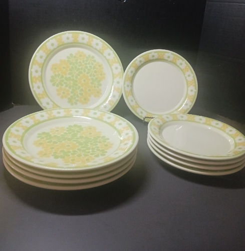 10er Set Vintage Picknick von Franziskaner 5 Speiseteller und 5 Salatteller - Bild 2 von 10