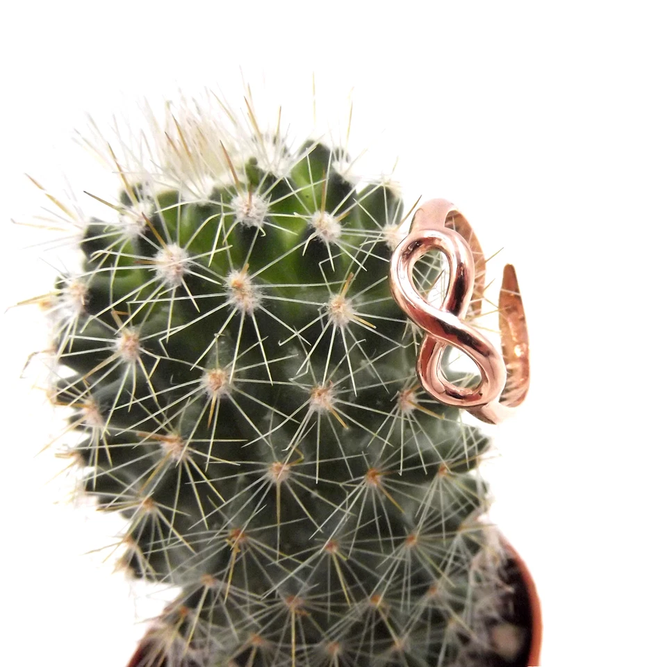 Anello infinito argento 925 rosa regolabile infinity ring regalo donna ragazza - Immagine 3 di 4