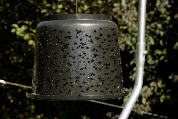 Bild 2 von 3