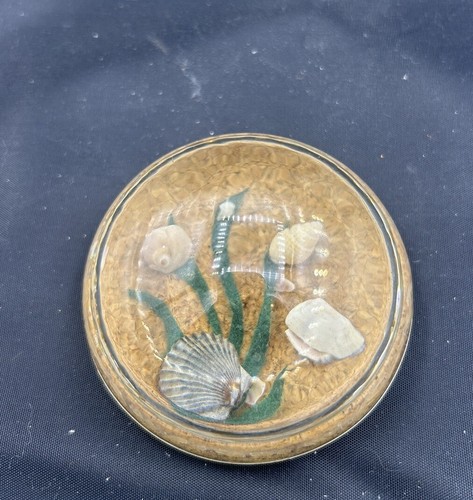 Vintage Seashells Beach Ocean Domed Glass Cork Magnifying Paperweight 3"