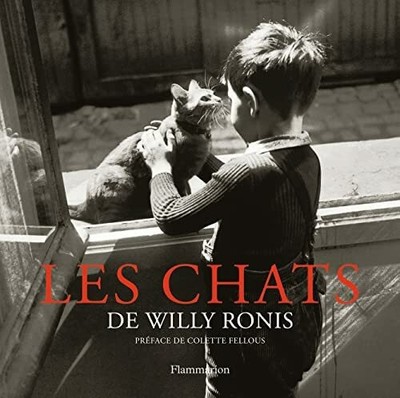 Les chats Buch Flammarion