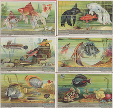 FIGURINE LIEBIG SERIE ITALIAN COMPLETA PESCI ESOTICI D'ACQUARIO N°1339 ANNO 1936