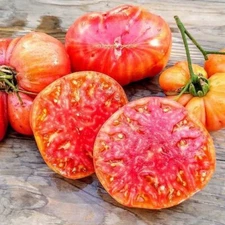 30+ HILLBILLY TOMATO SEEDS - HEIRLOOM - ORGANIC - NON GMO ------------ RARE