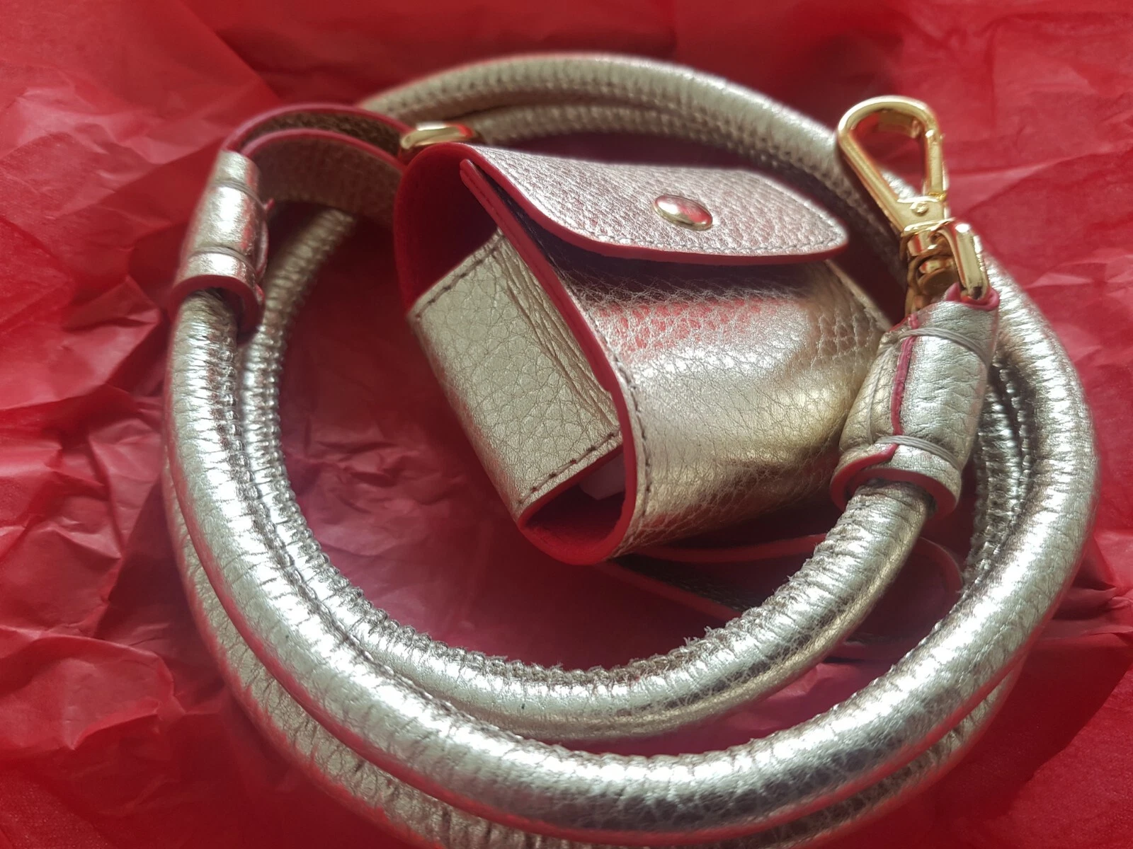 Moshiqa Dog Lead Leather Luxury Pet Golden Lasso Dog Leash One Size (Gold)