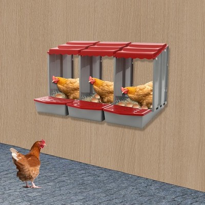 3-Compartment Chicken Nesting Box for Efficient Egg Laying and Easy Collection